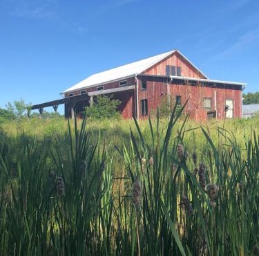 Historic Converted Barn Loft at Sobremesa Farm