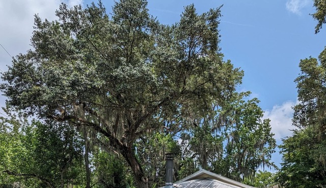 Historic Cottage minutes from the Homosassa River, Wildlife Park! Pet-friendly