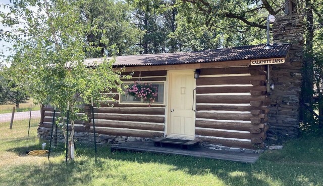 Historic & Cozy Cabin, Within 10 Mi of Mt. Rushmore & Custer State Park