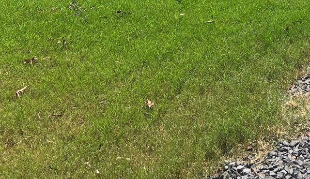 Historic downtown Como MS on the MS Blues trail…Minutes from famous Steakhouse,