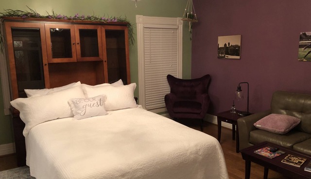 Historic Downtown Morgan Street Apartment - Pet Friendly!