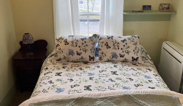 Historic Downtown Seneca Falls Apartment