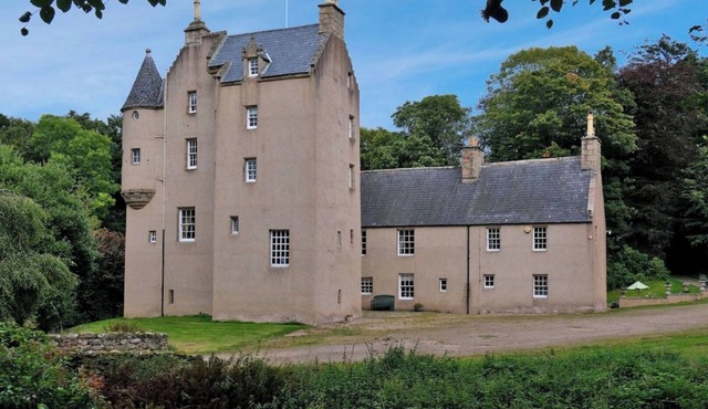 Historic Fairytale Lickleyhead Castle