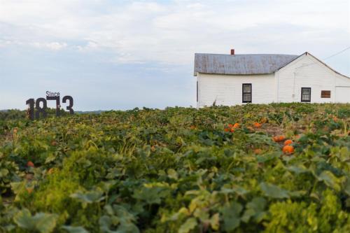 Historic Farm Cottage on 800-Acre Orchard