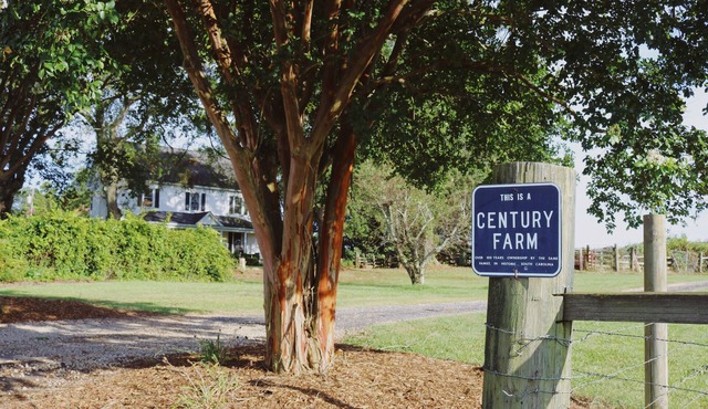 Historic Farm House on 400 Acre Cattle Farm near Clemson, SC
