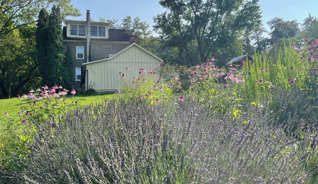 Historic Farmhouse and Gardens on 67+Acres