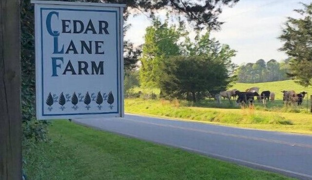 Historic Farmhouse and Gardens on 160 acres