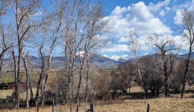 Historic Farmhouse Cabin in the Ruby Valley