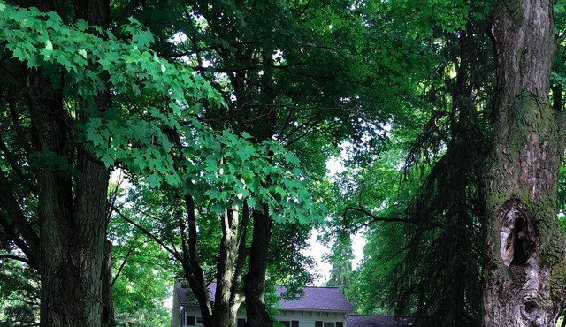 Historic Farmhouse on 100 acres
