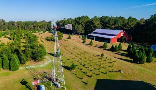 Historic FarmHouse with Goats & Glass Blowing