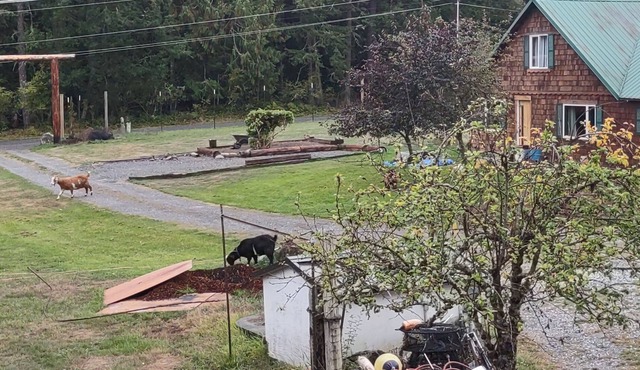 Historic getaway Farmhouse! On 5 acres Available in April! Cozy retreat Isla