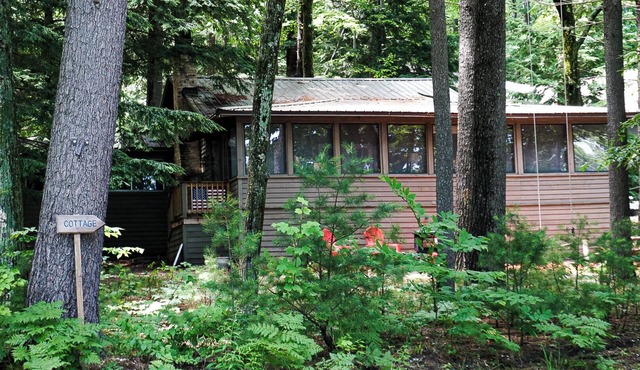 Historic Glen Lake Cottage with Private Waterfront & Dock