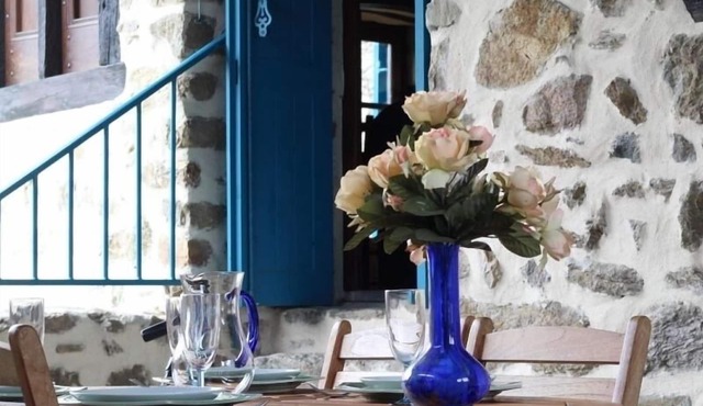 Historic Home by the Allier River: Terrace, BBQ, Games, Near Beach & Village Sights