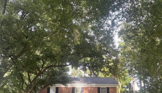 Historic home on 2+ wooded acres w/ pool in heart of Nacogdoches