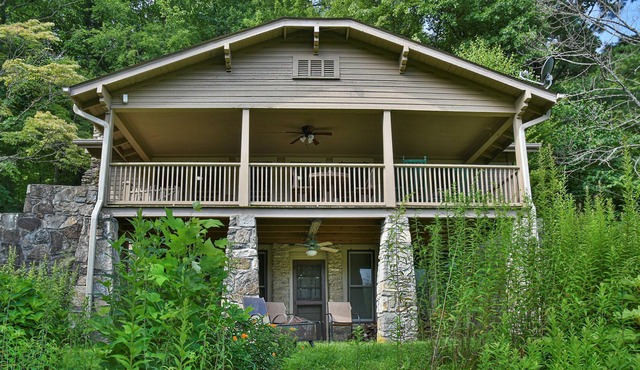 Historic home - views, trails, quiet, near Asheville, Equestrian Center