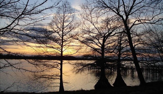 Historic Horseshoe Lake Cottage