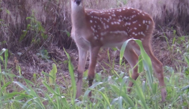 Historic House on the Prairie