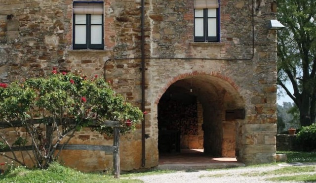 Historic house with biological pool