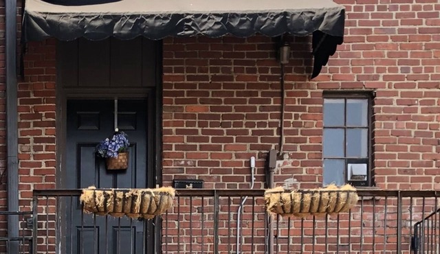 Historic Loft in the ❤️ of Bardstown