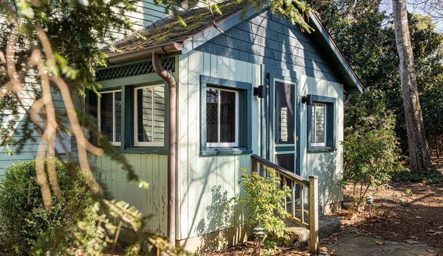 Historic Magnolia Cottage - luxurious, in-town, mountain view, firepit, gardens