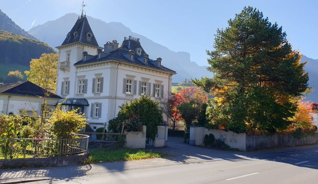 Historic manufacturer's villa Apartment ground floor and 1st floor