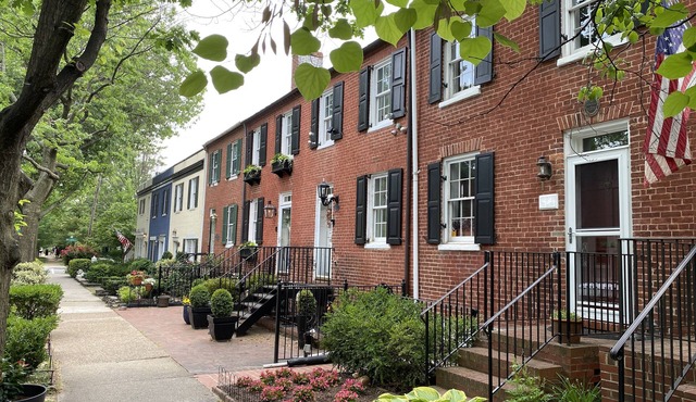 Historic Old Town Alexandria Cozy Apartment