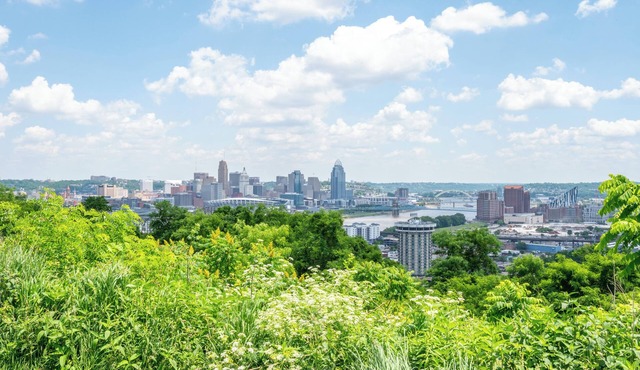 Historic Park Hills Cottage – Walk to Devou Park, 10 Min to Downtown Cincinnati