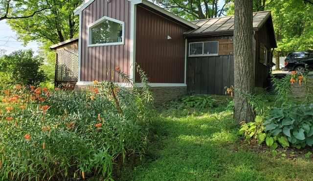 Historic pet friendly cabin with shooting range, and ATV trails on 80 acres.