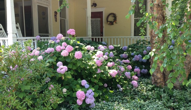 Historic Queen Anne Style Home In Village Of Douglas/Saugatuck-Vintage Splendor