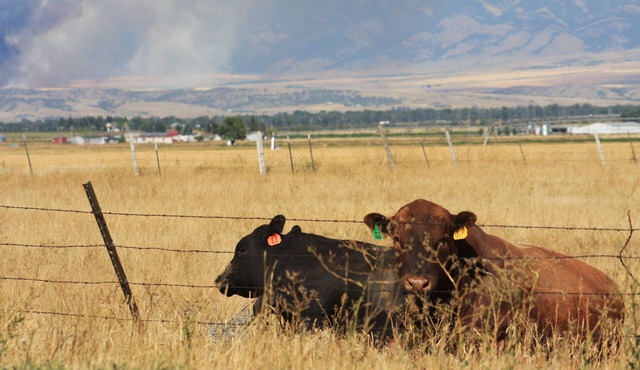 Historic ranch house has beautiful mountain and valley views. Weekly discounts.