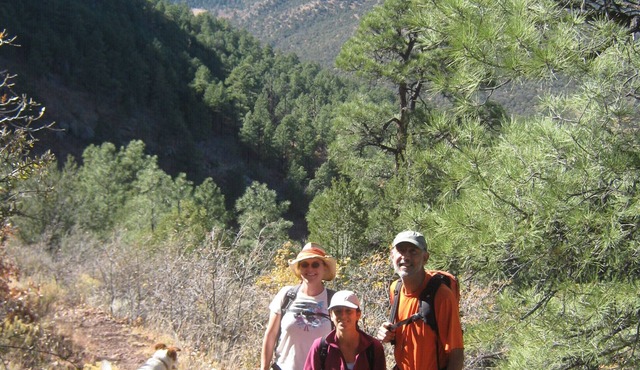 Historic Renovated Rosedale Ghost Town House In Magdalena, Nm, Horse Friendly