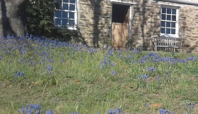 Historic stone cottage