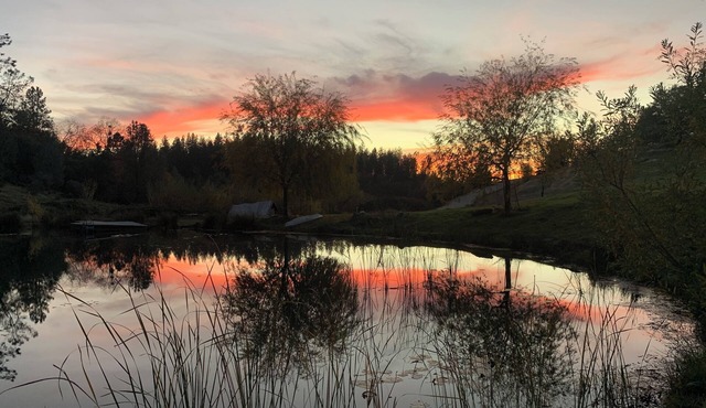 Historical 2 story private 3 bedrooms ranch cabin in Colfax on 14 acres