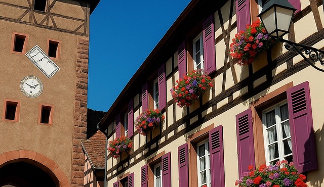 Historical Alsatian House with Parking in Ammerschwihr