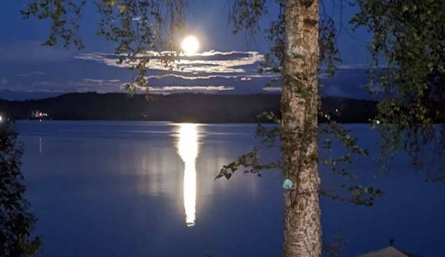 Historical cabin on Big Lake with Lake access, shared dock with private deck