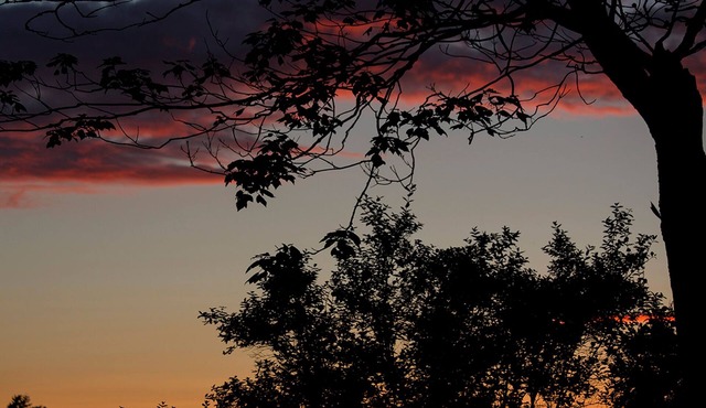 Historical romantic stay! Senator home built in1902. One booking 2 rooms!