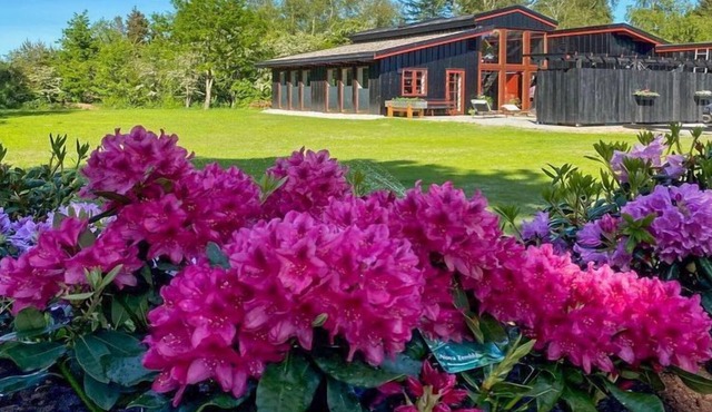 "Hithin" - all inclusive - 150m to the inlet by Interhome