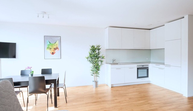 Hitrental Basel Apartments