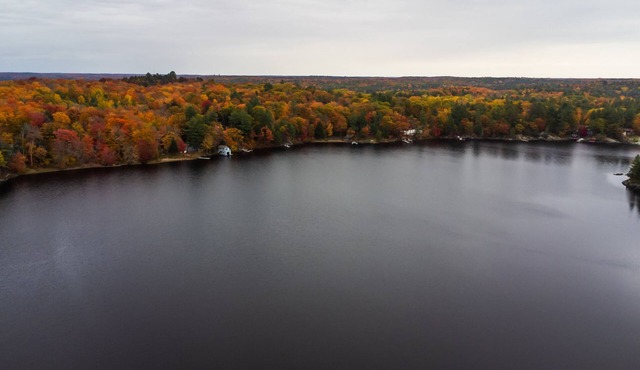 HK'S Hidden Haven! (Muskoka Lake Cottages#2)