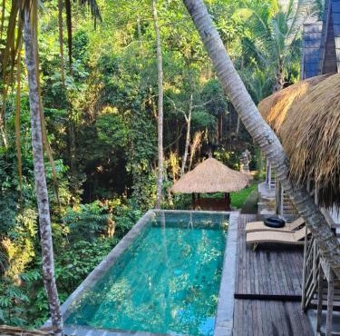 HOB Jungle Escape Villa