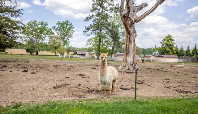 Hobbit House one of a kind home