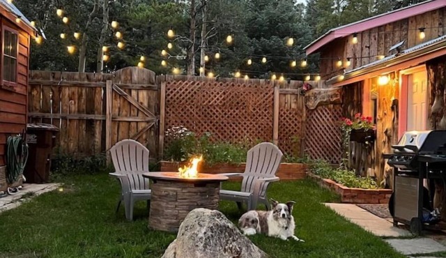 Hobbit House - Studio Mountain Cabin