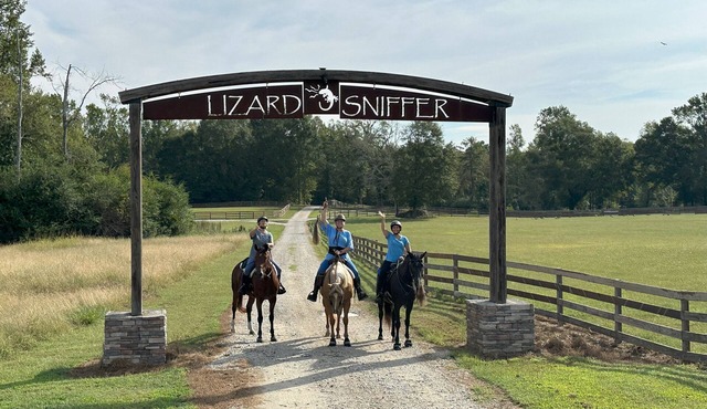 Hobbit House. Welcome to The Shire!