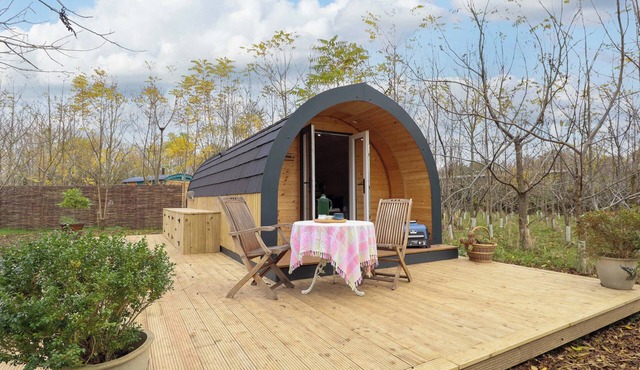 HOBHOLE, pet friendly, country holiday cottage in East Kirkby