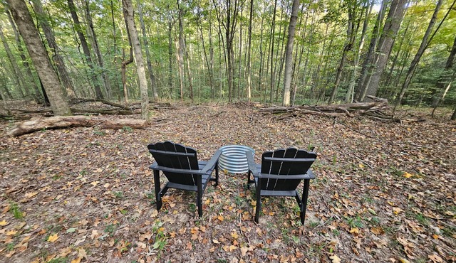 Hocking Hills Store Campsite #2 (Tent Site)