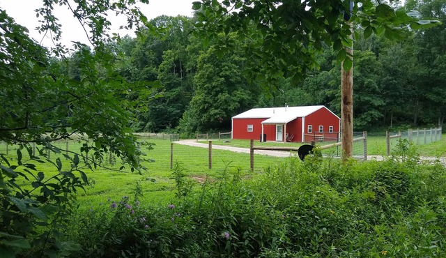 HOCKING HILLS AREA LODGING. Adults/21 & Older Only Getaway. Smoke & Pet Free.