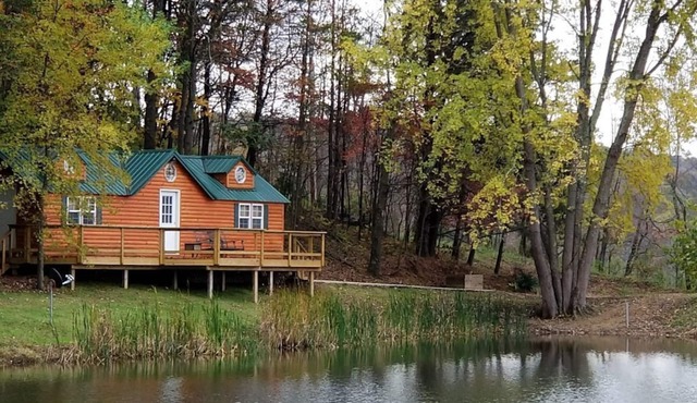 Hocking Hills-Dog friendly cabin with private pond . adults 18 and older