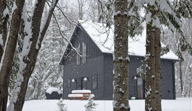 Hodag House | Magical Cabin & Creature Comforts