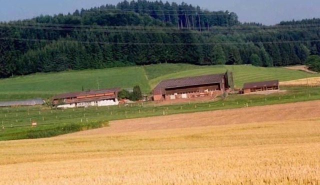 "Hof Eggweid" flat with a view of the mountains