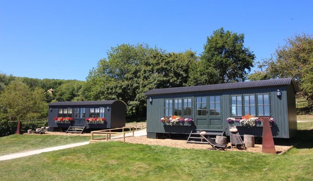 Hog Deer Creek - At Port Lympne Reserve